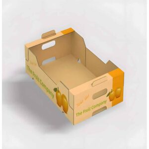 Custom Corrugated Trays